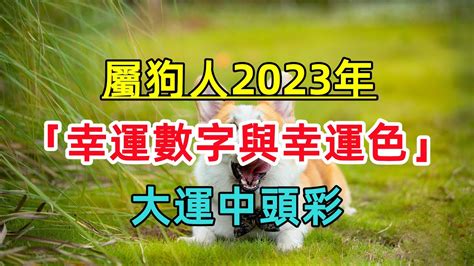 2023屬狗貴人